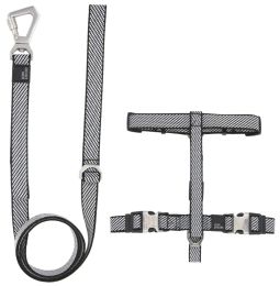 Pet Life 'Escapade' Outdoor Series 2-in-1 Convertible Dog Leash and Harness (Color: Grey, size: medium)